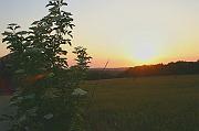 Sonnenuntergang I